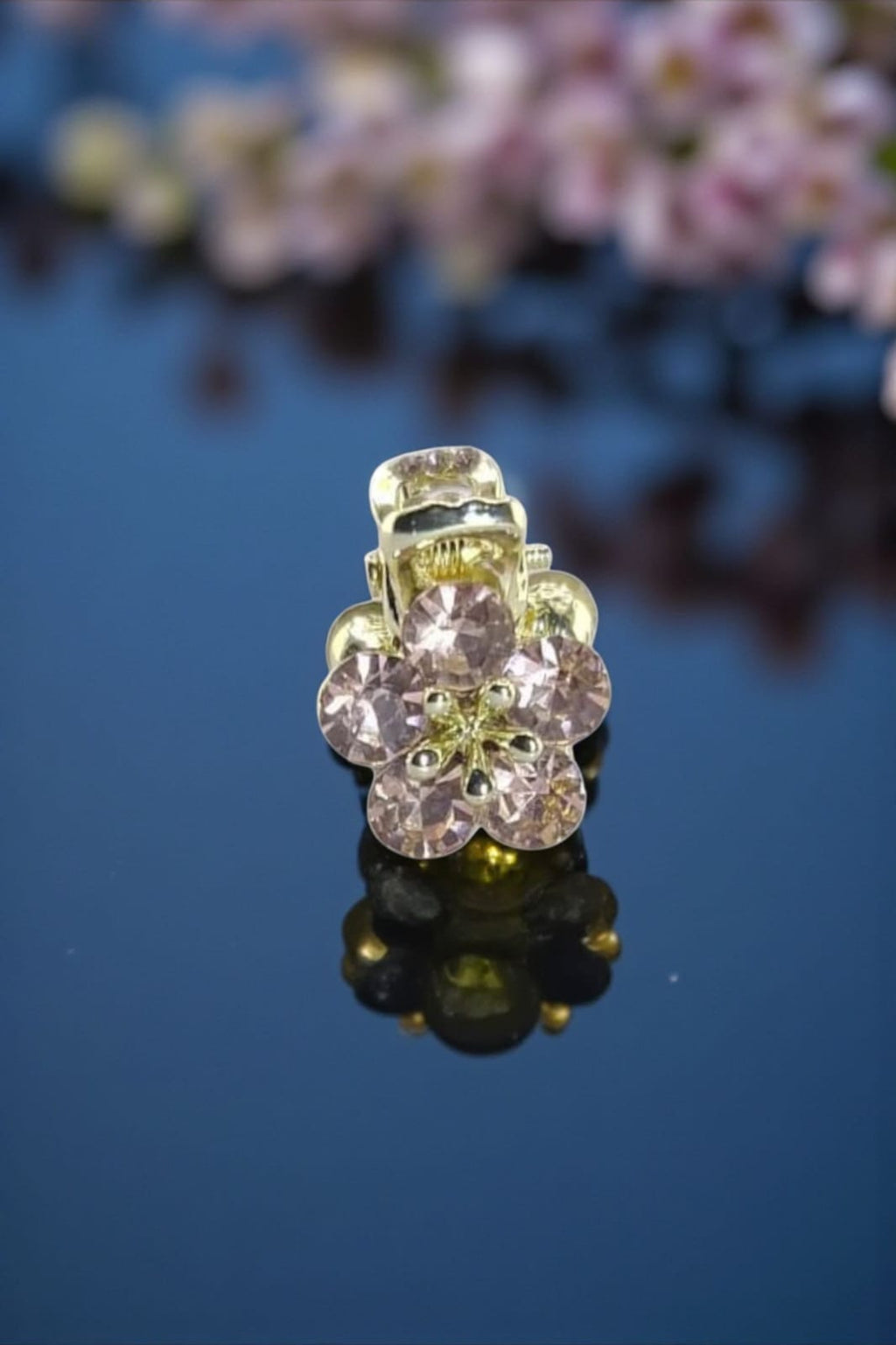 Ralbax Hysope Saç Tokası